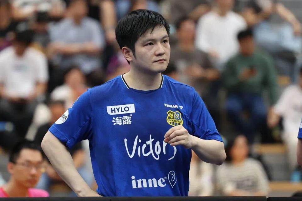 对山东泰山 对山东泰山