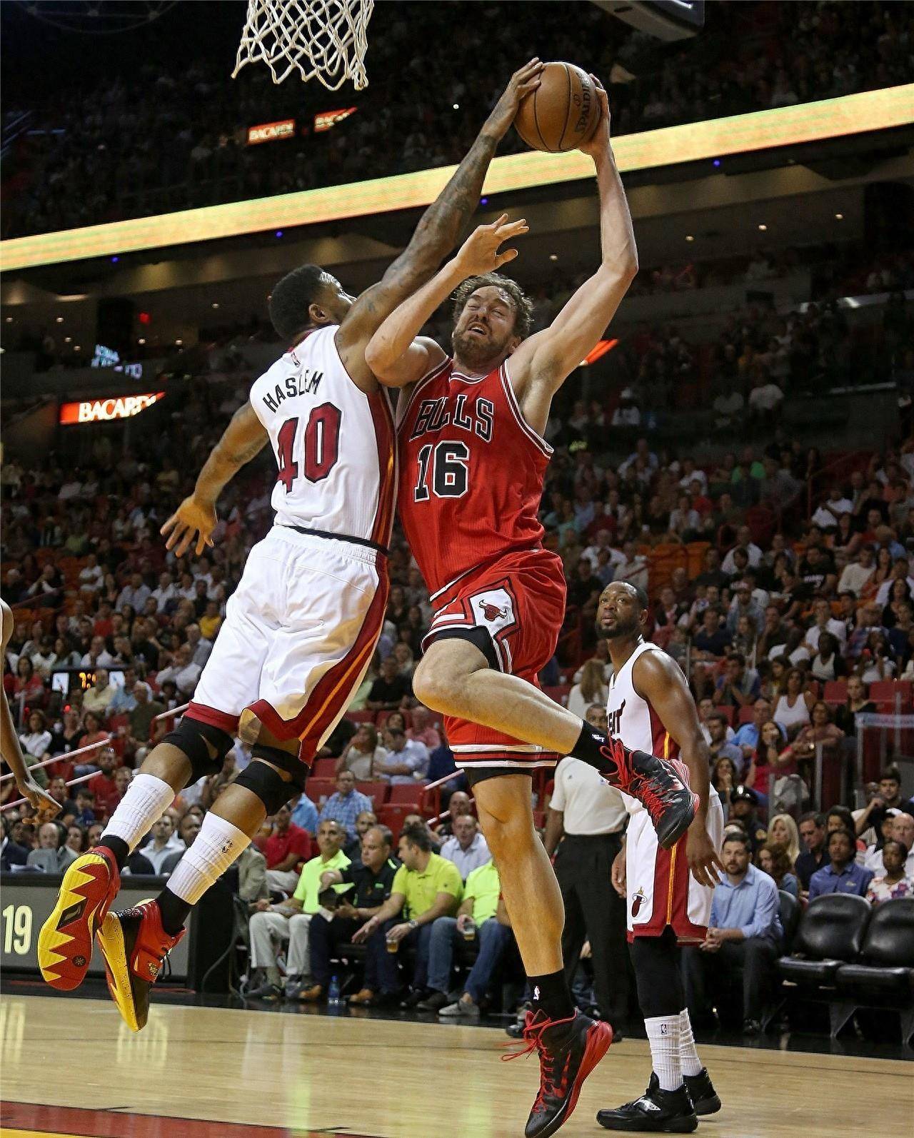 正通过举办 正通过举办