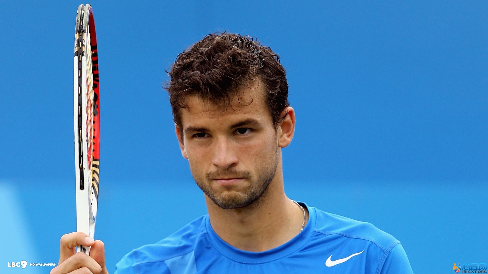 這也證明了 這也證明了