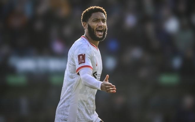 这些因素都 这些因素都