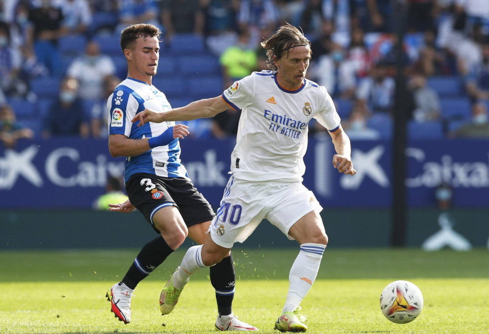 法国女篮的 法国女篮的