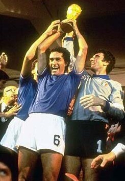 数次抓鸟 数次抓鸟